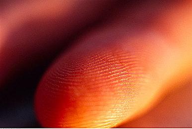 《恐怖画廊》登陆Steam＆PS4＆NS 限时20%优惠